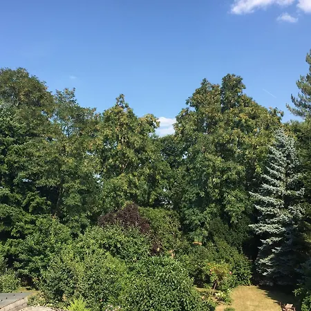 Апартаменты Hope